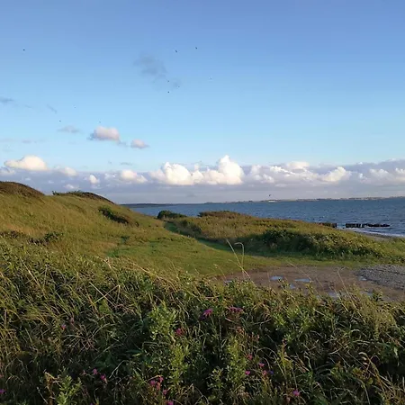 6 Person In Dom wakacyjny Vinderup