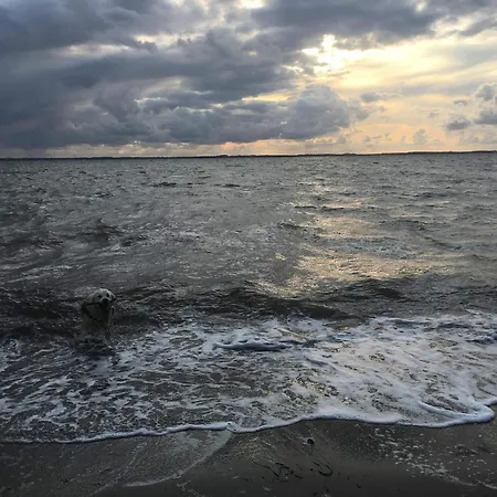 6 Person In Dom wakacyjny